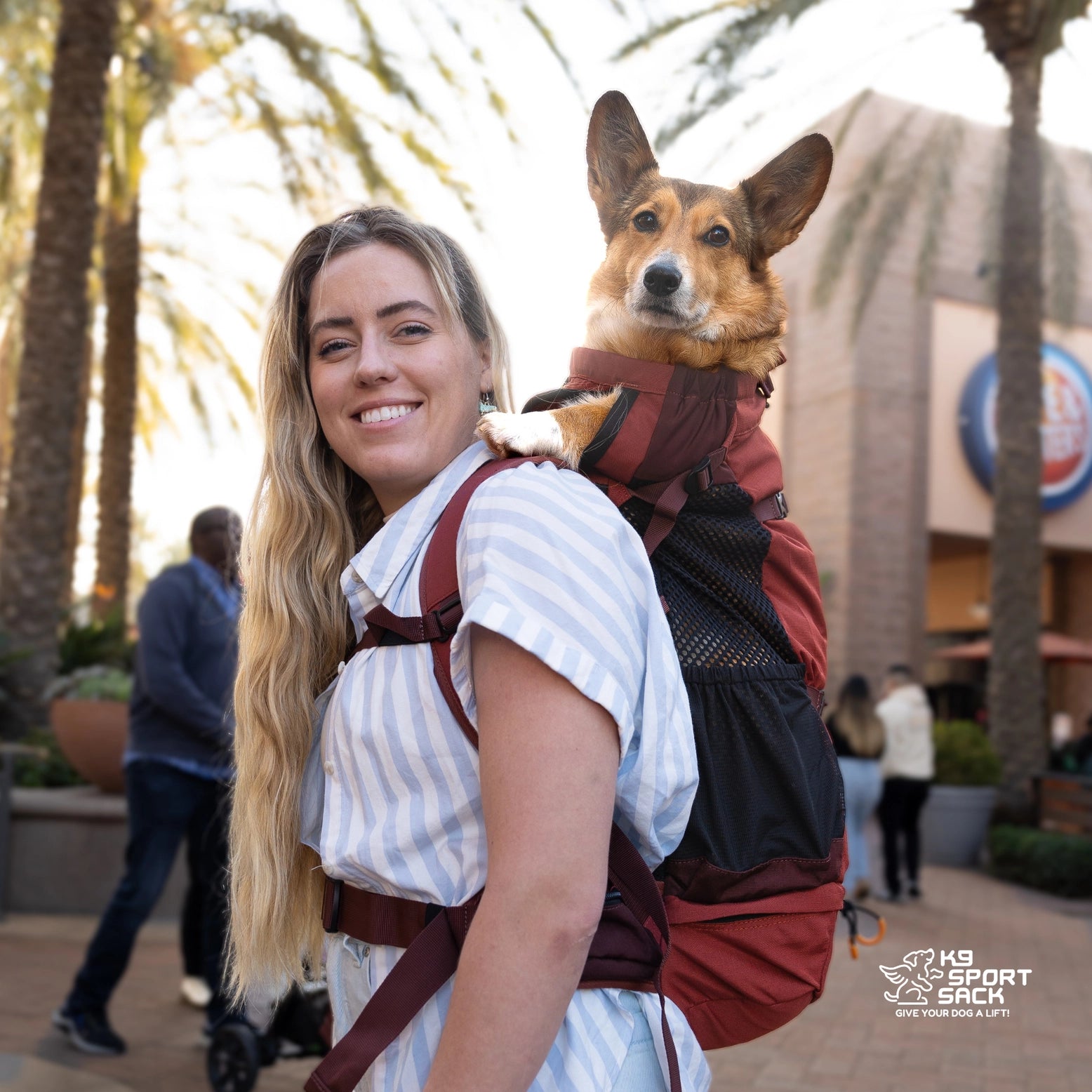 K9 Sport Sack Air 2 Dog Backpack Carrier