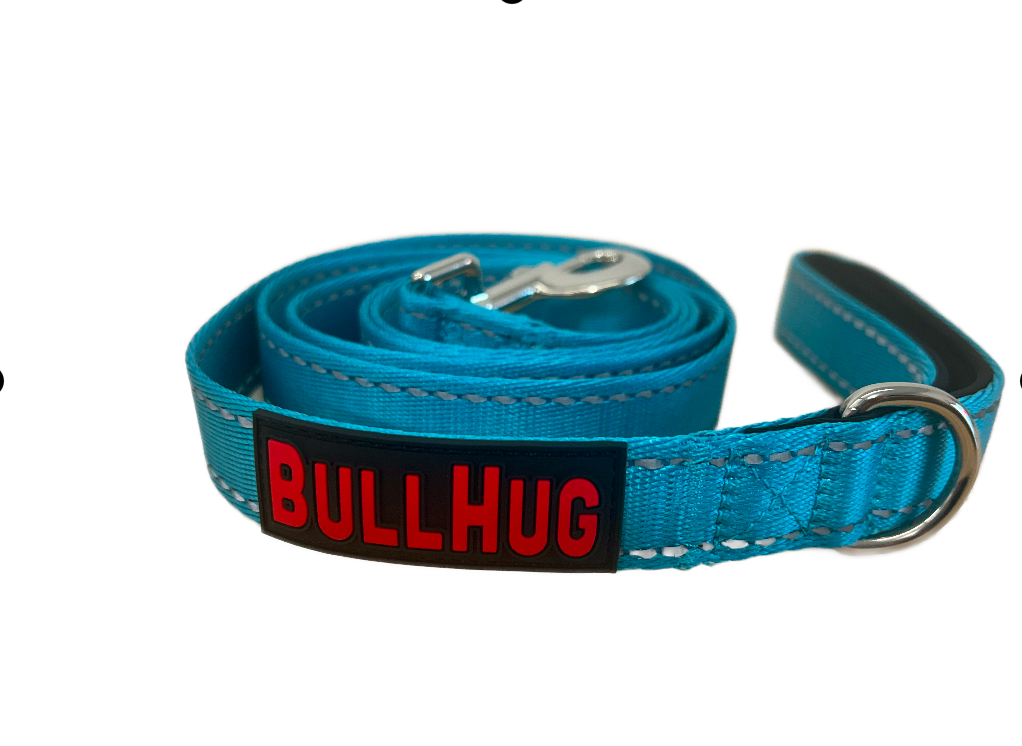 "Teal" 6ft Bullhug Leash