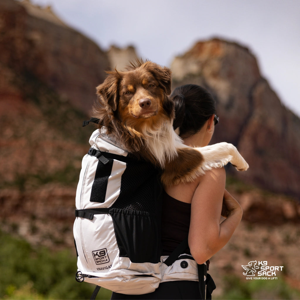 K9 Sport Sack Air 2 Dog Backpack Carrier