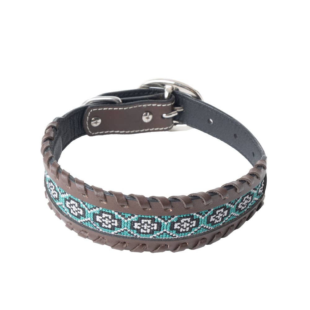 Freedom Trail Dog Collar in Black & Turquoise