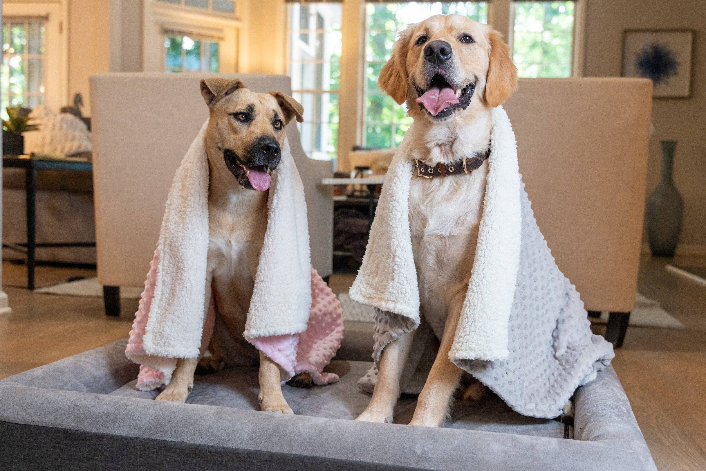 Boujee Pet Blanket