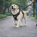 No Pull Denim Dog Harness Stylish & Durable Reflective