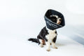 M-The Original Comfy Cone