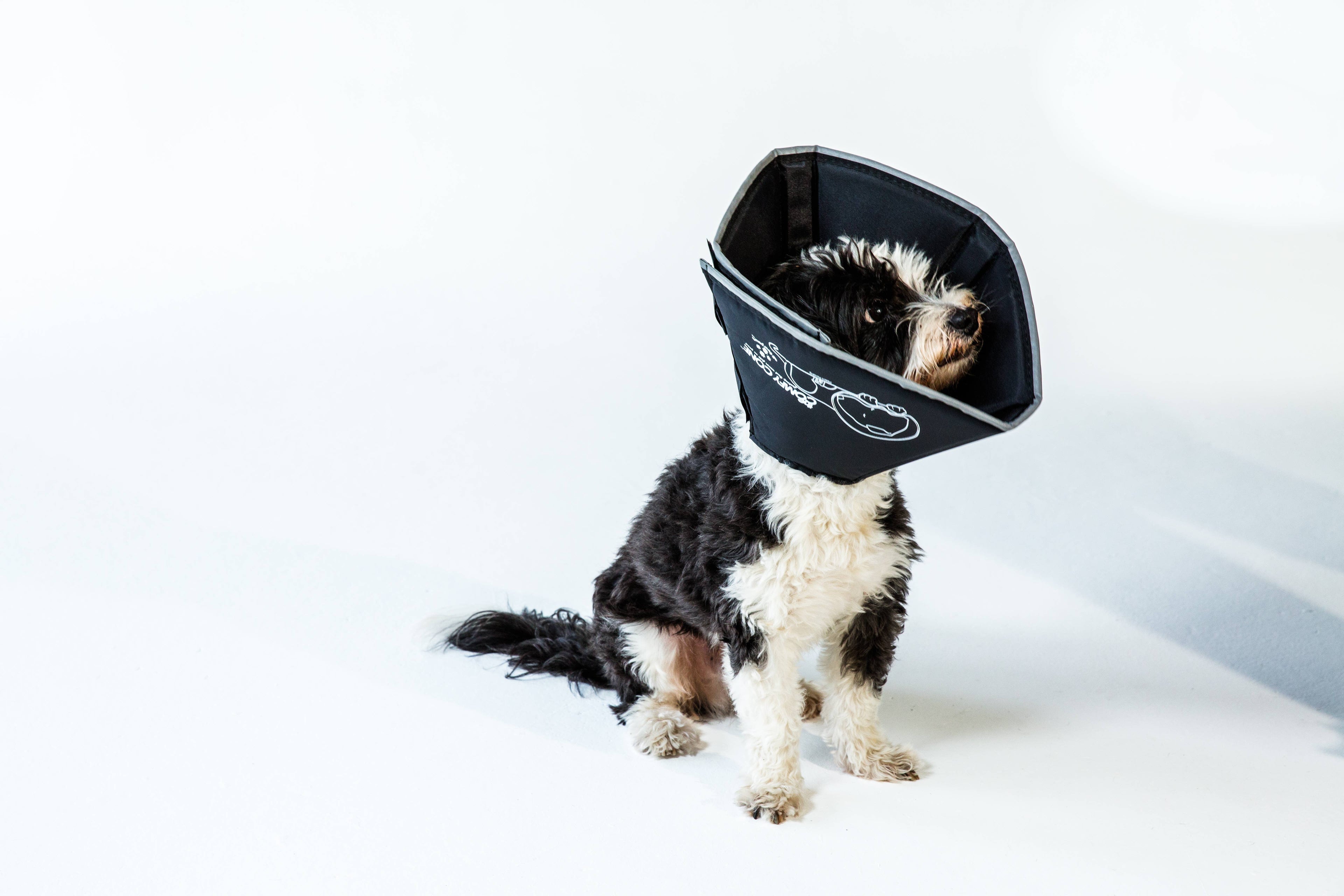 M-The Original Comfy Cone