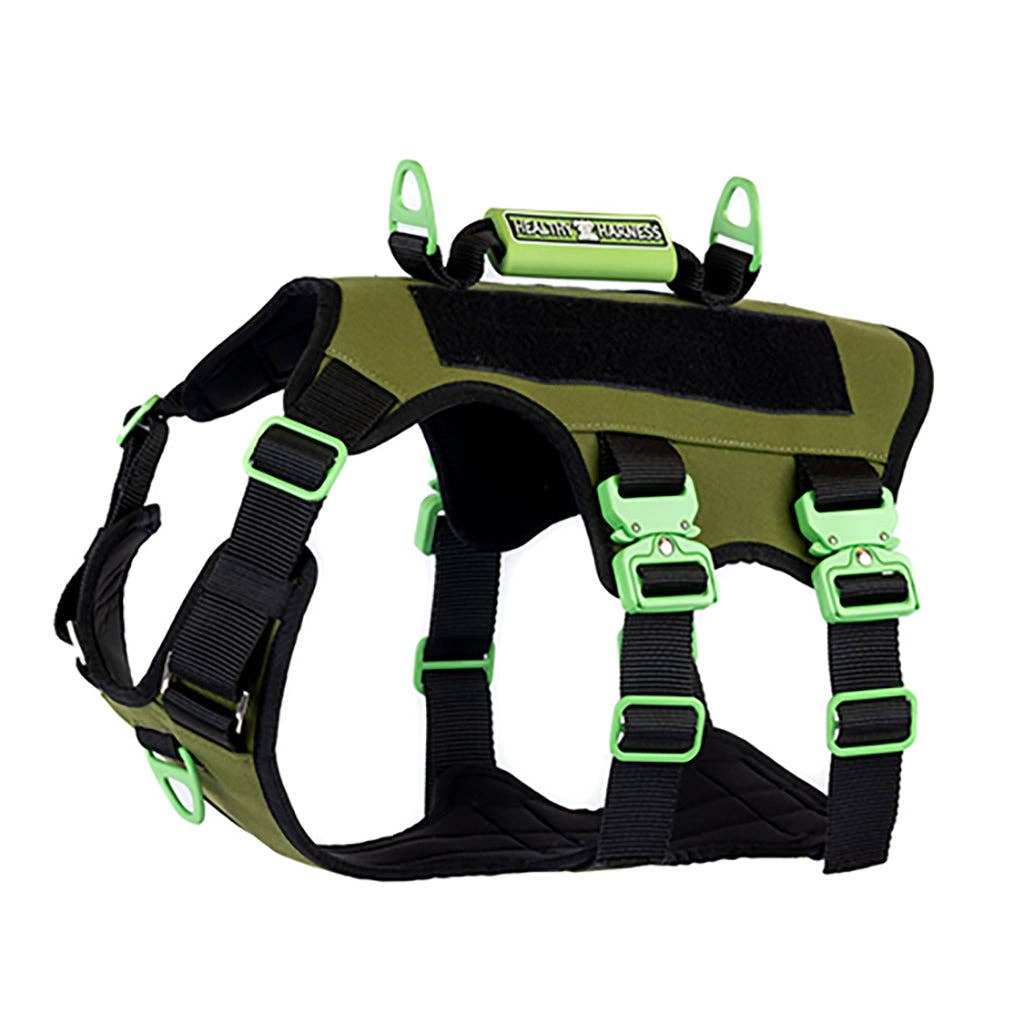 Absolute Adventure Harness