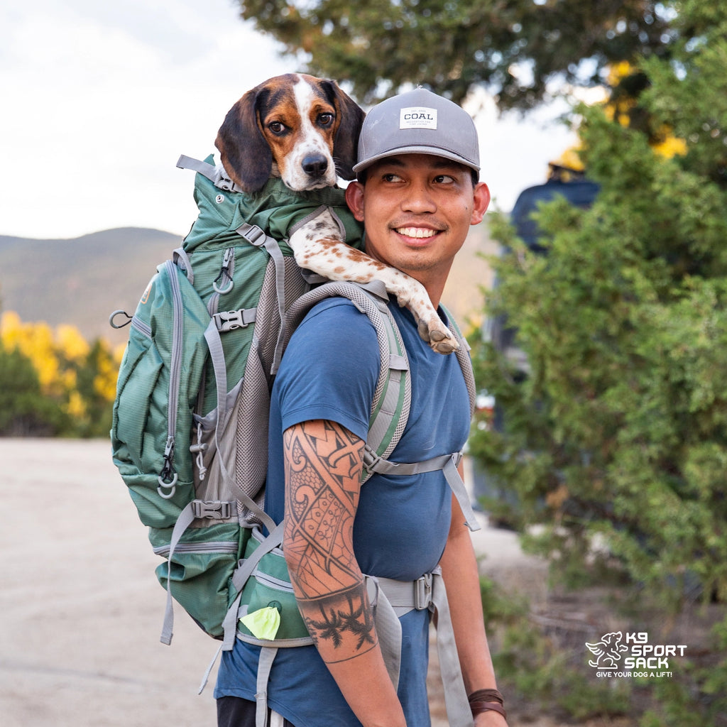K9 Sport Sack Kolossus Big Dog Backpack Carrier + Backpacking Pack