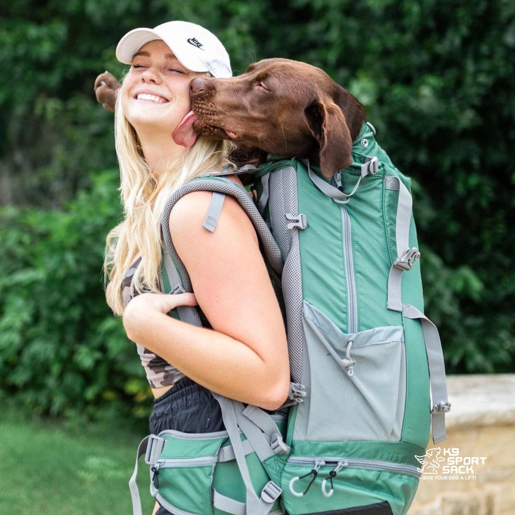 K9 Sport Sack Kolossus Big Dog Backpack Carrier + Backpacking Pack