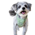 Everyday Dog Harness