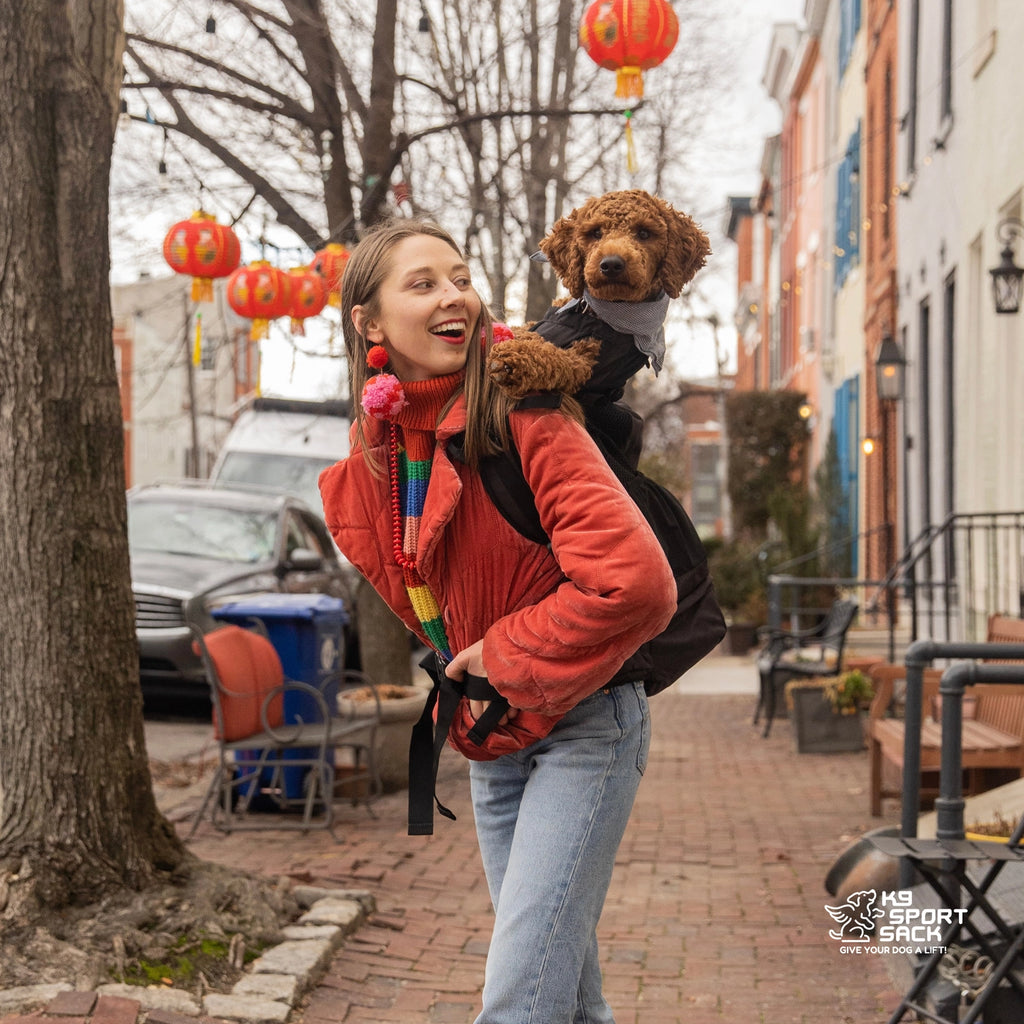 K9 Sport Sack Air 2 Dog Backpack Carrier