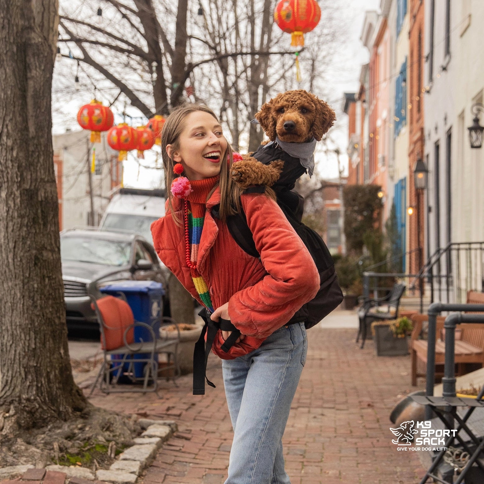 K9 Sport Sack Air 2 Dog Backpack Carrier