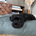 Quiet Light Organic Cotton Dog Duvet