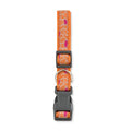 Pawfectly Playful Collar: Embroidered Giraffe Design For Dog