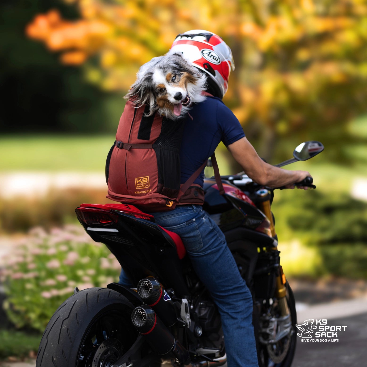 K9 Sport Sack Air 2 Dog Backpack Carrier