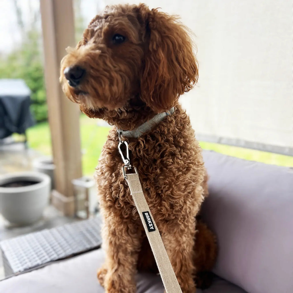 Barksy Hemp Dog Leash – 5 ft with Swivel Snap Hook image 1