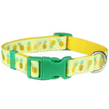Pineapples Dog Collar – Fun Tropical Pet Accessory