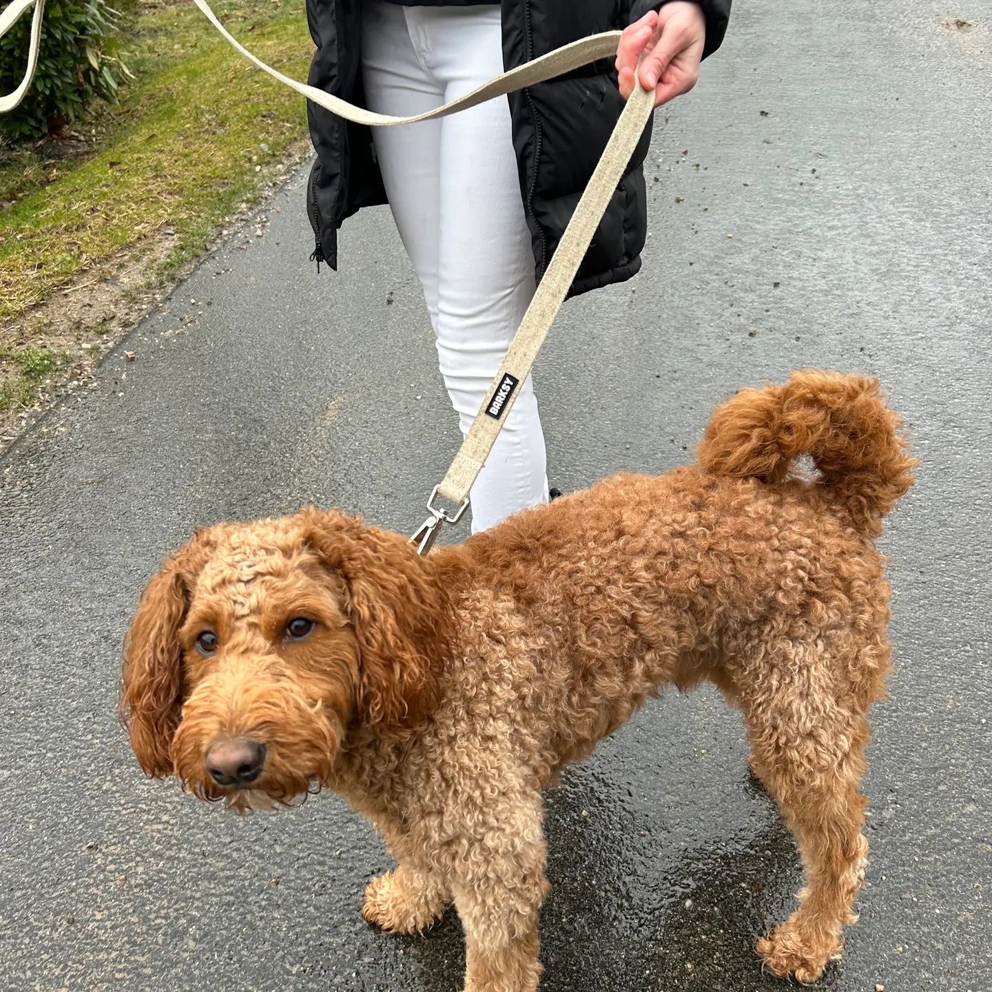 Barksy Hemp Dog Leash – 5 ft with Swivel Snap Hook image 2