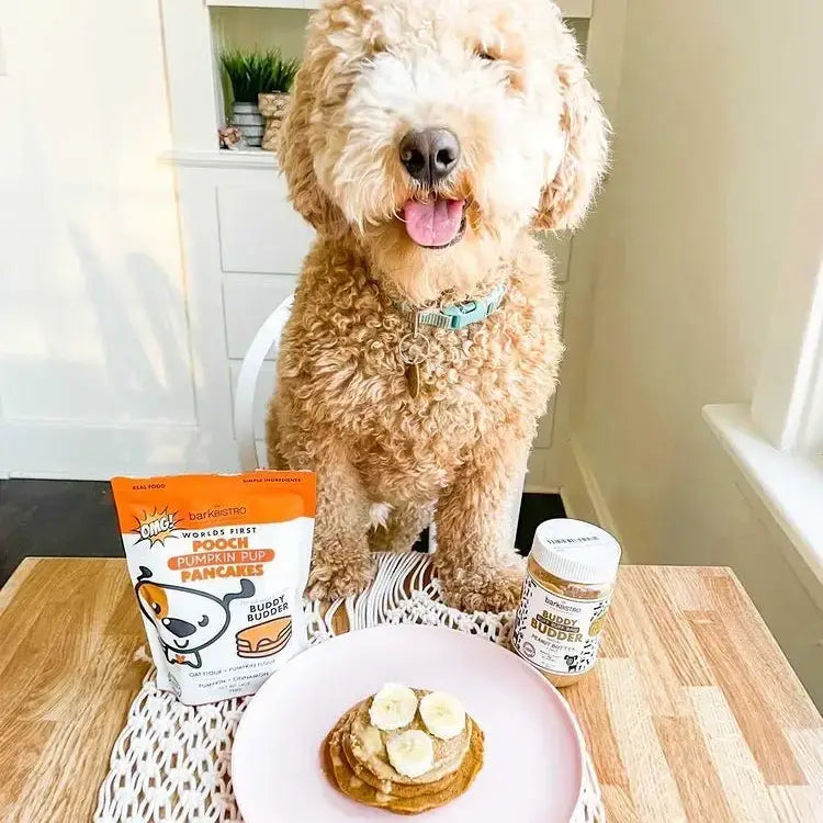 Pumpkin Pup Pooch Pancake Mix - 100% All Natural, Made in USA image 1