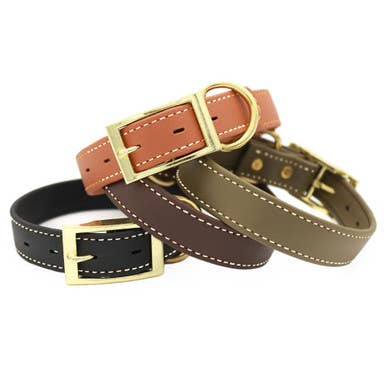 Waterproof Faux Leather Standard Collar