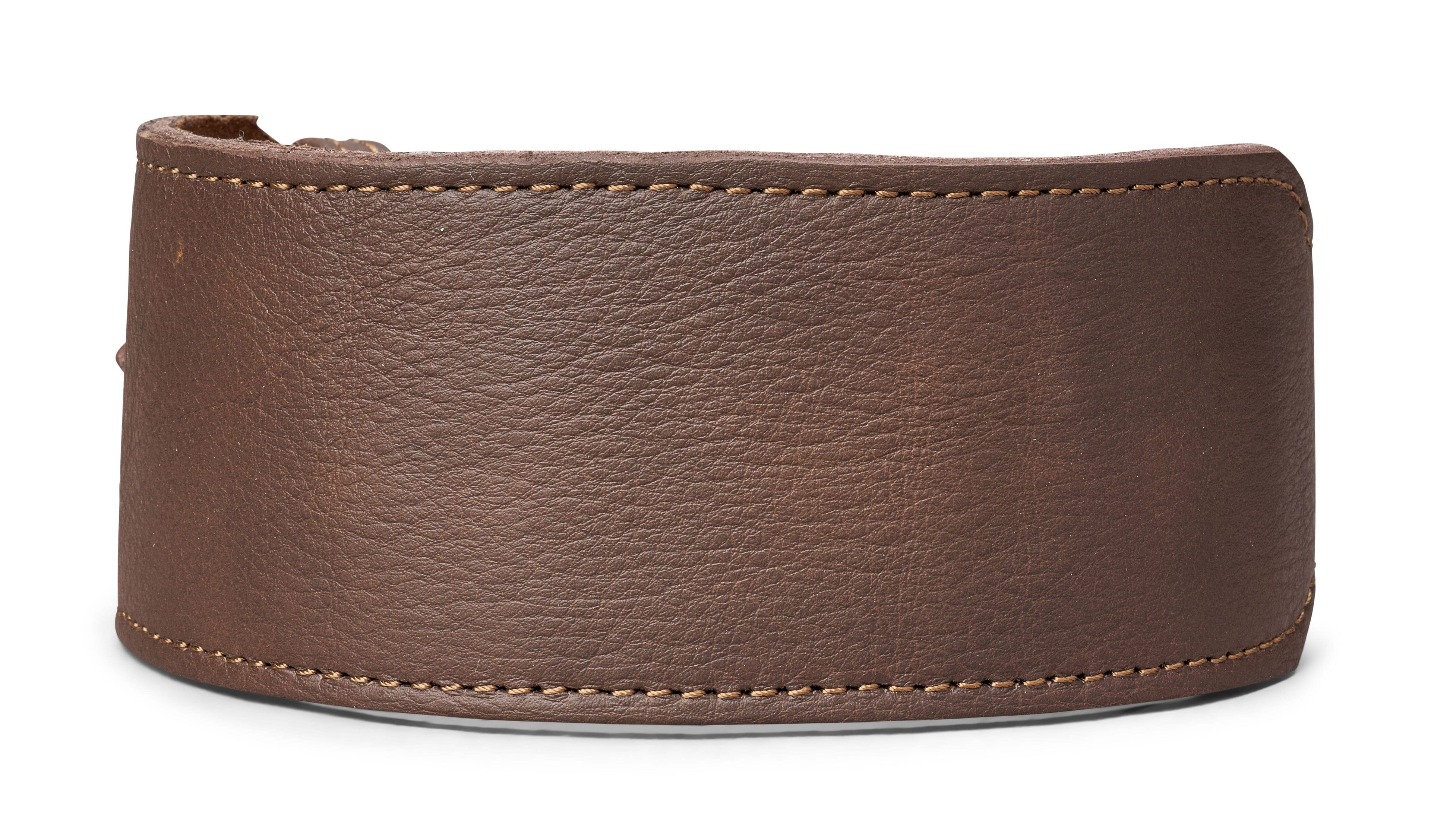 Inch Wide Plain Leather Collar