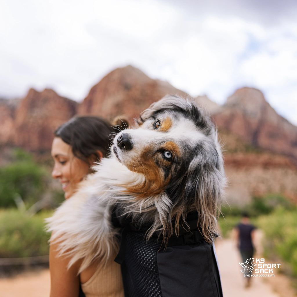K9 Sport Sack Air 2 Dog Backpack Carrier