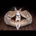 BurrowBed Reversible Dog Bed with Removable Blanket