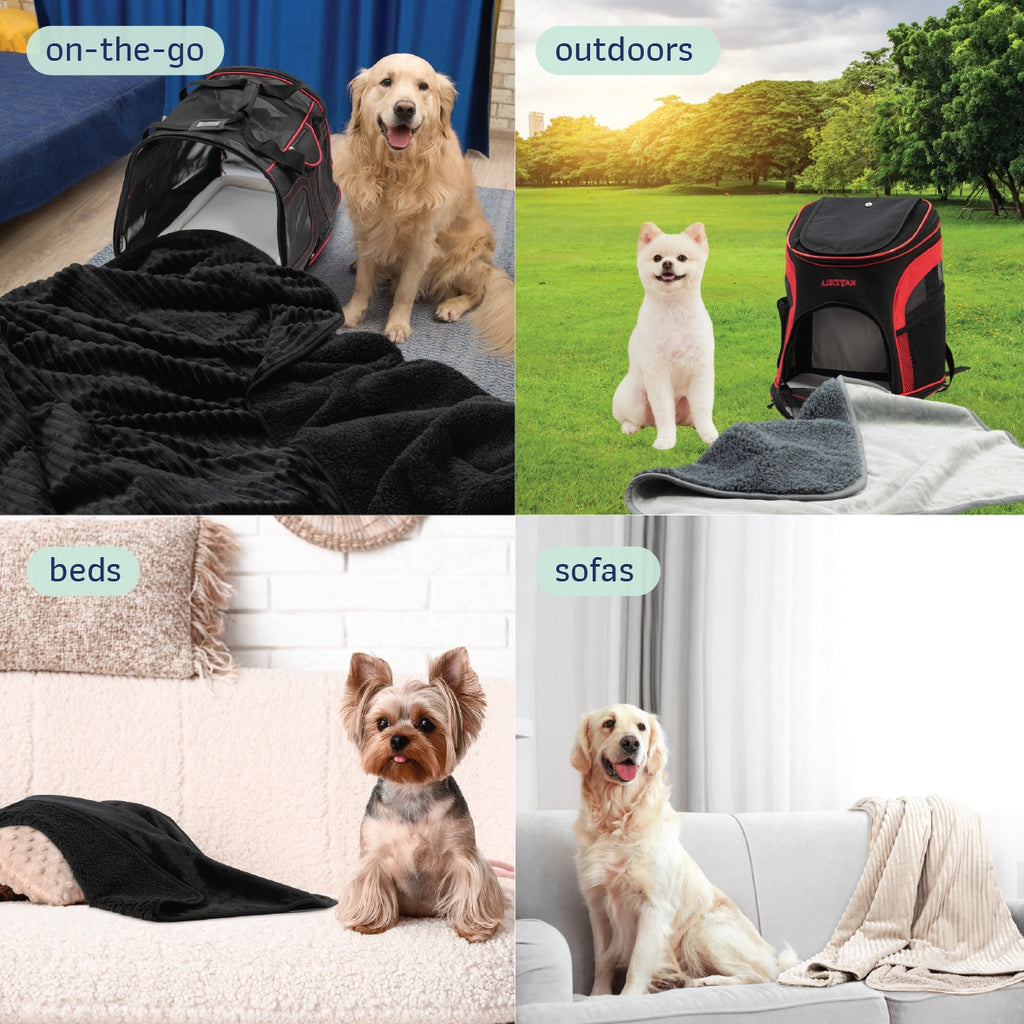 Ultra-Soft Plush Dog Blanket