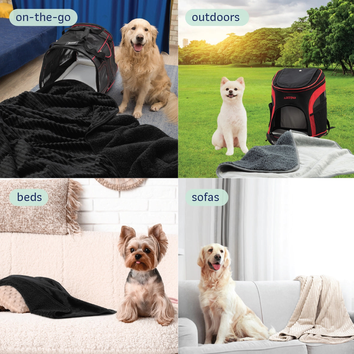 Ultra-Soft Plush Dog Blanket
