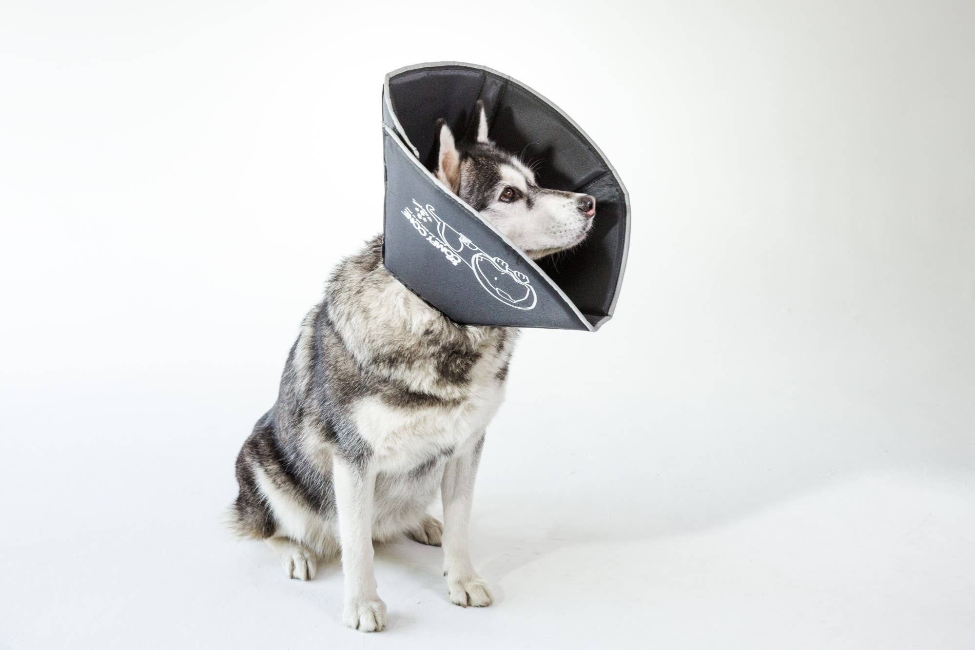 L-The Original Comfy Cone