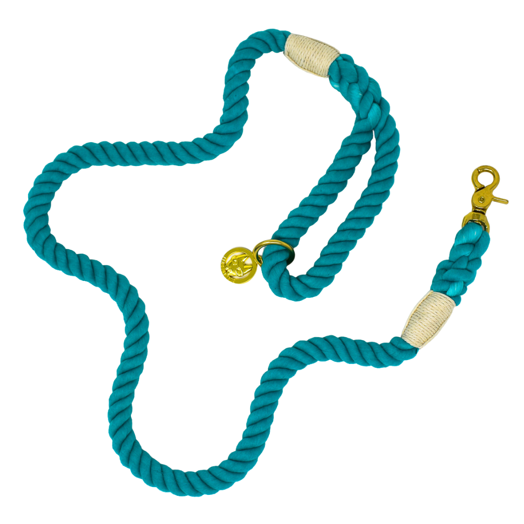 Ariel Rope Dog Leash   Dog Leash   Green Leash