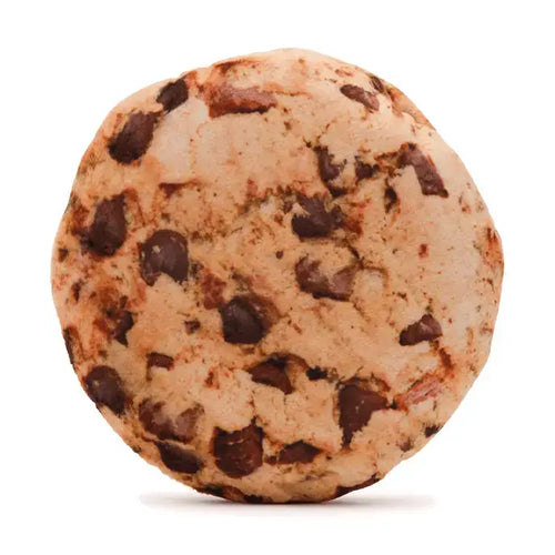 Chocolate Chip Cookie Plush Squeaker Dog Toy image 0