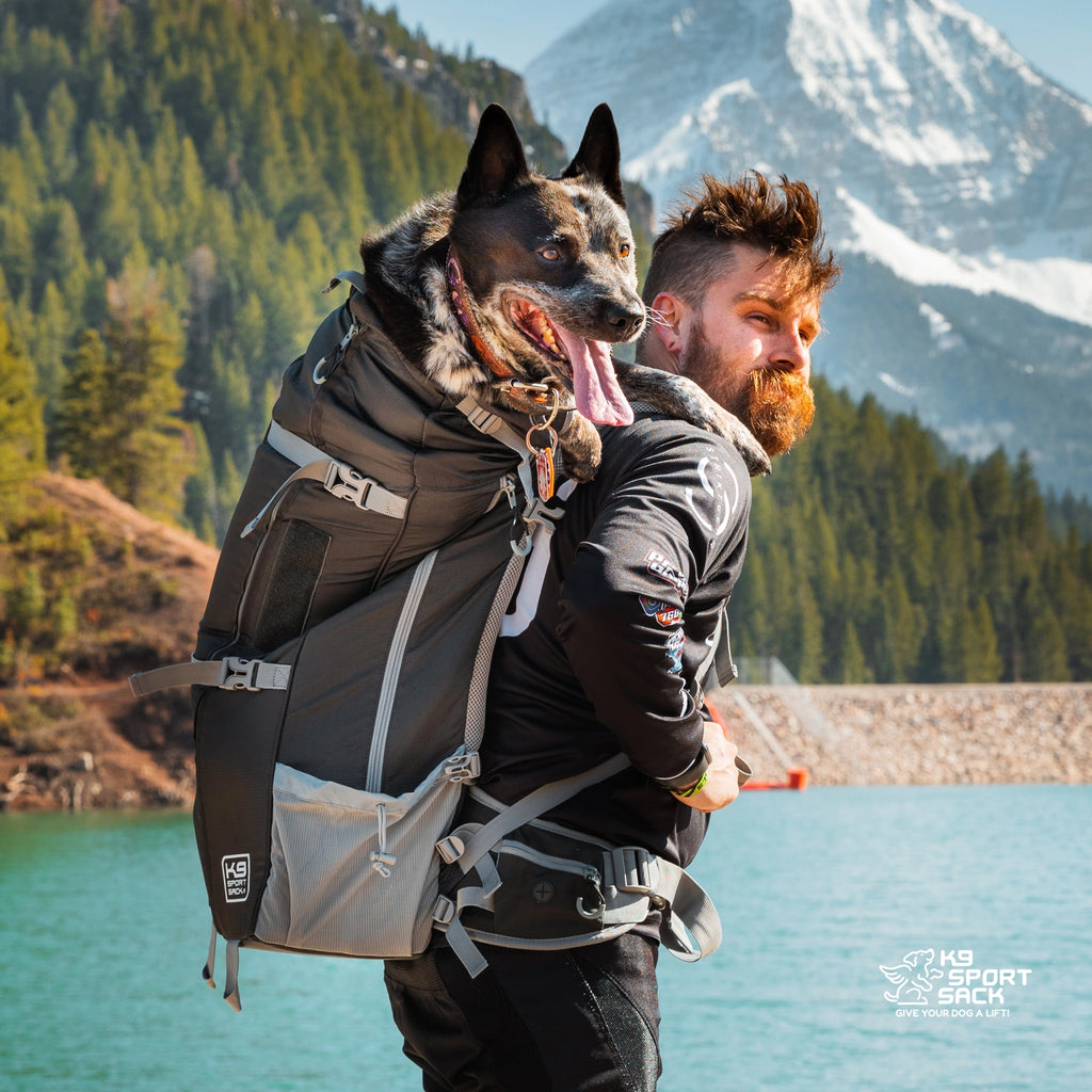 K9 Sport Sack Kolossus Big Dog Backpack Carrier + Backpacking Pack