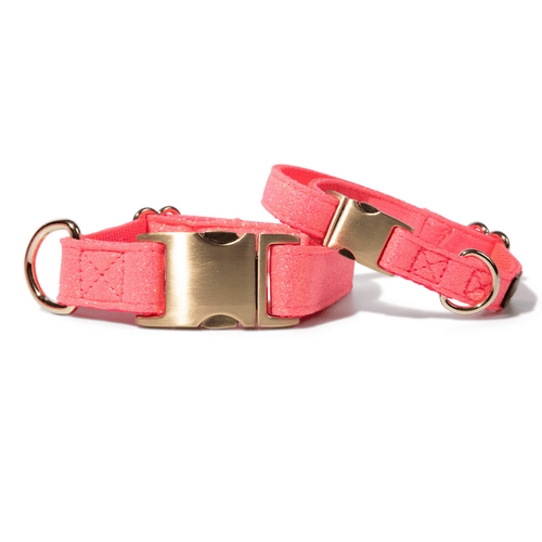Ambrose Glitter Dog Collar   Pink Dog Collar   Dog Collar
