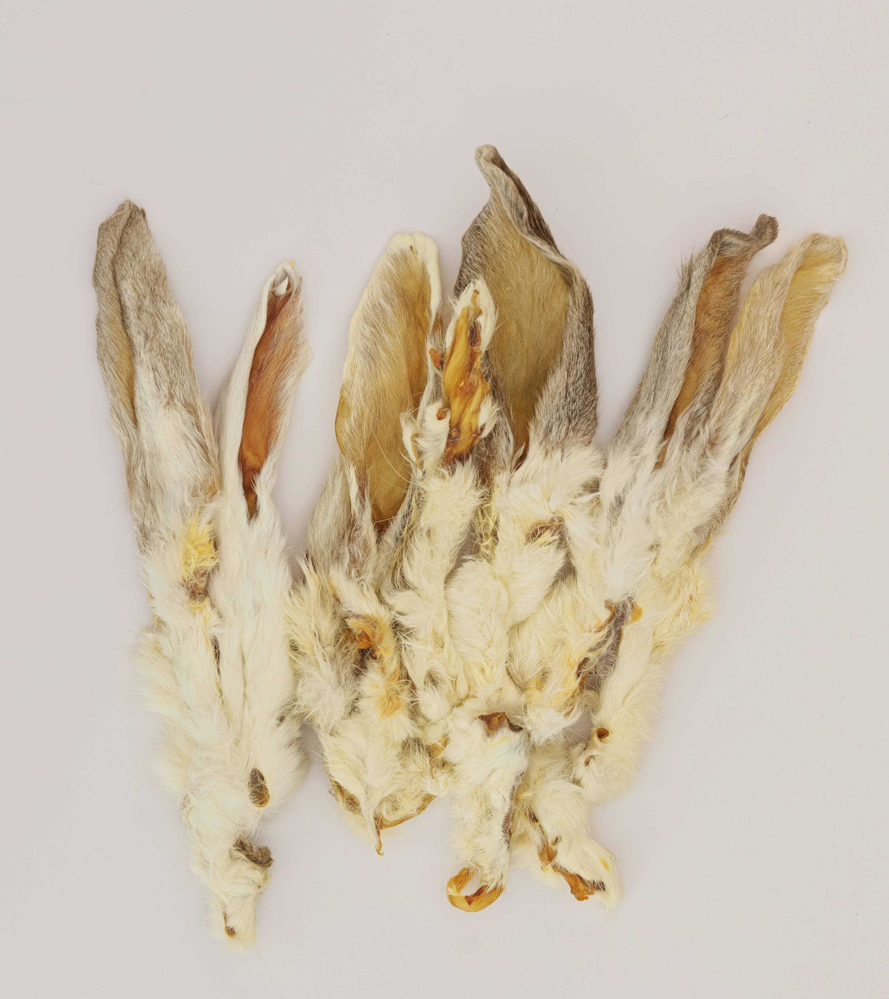 Bulk Rabbit Ears with Fur