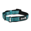 P.A.W. Martingale Collar L Blue